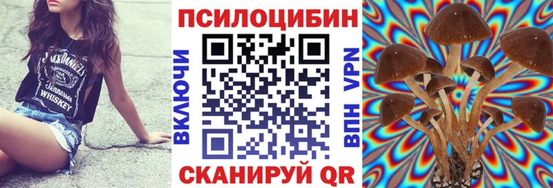 Галлюциногенные грибы Magic Shrooms  маркетплейс телеграм  Углегорск  omg маркетплейс 
