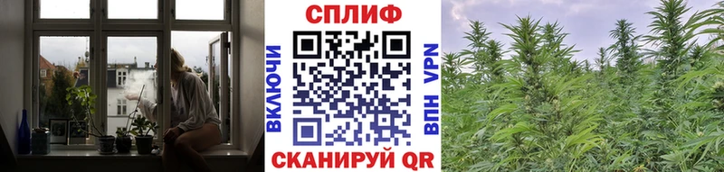 Марихуана White Widow  blacksprut маркетплейс  Углегорск 